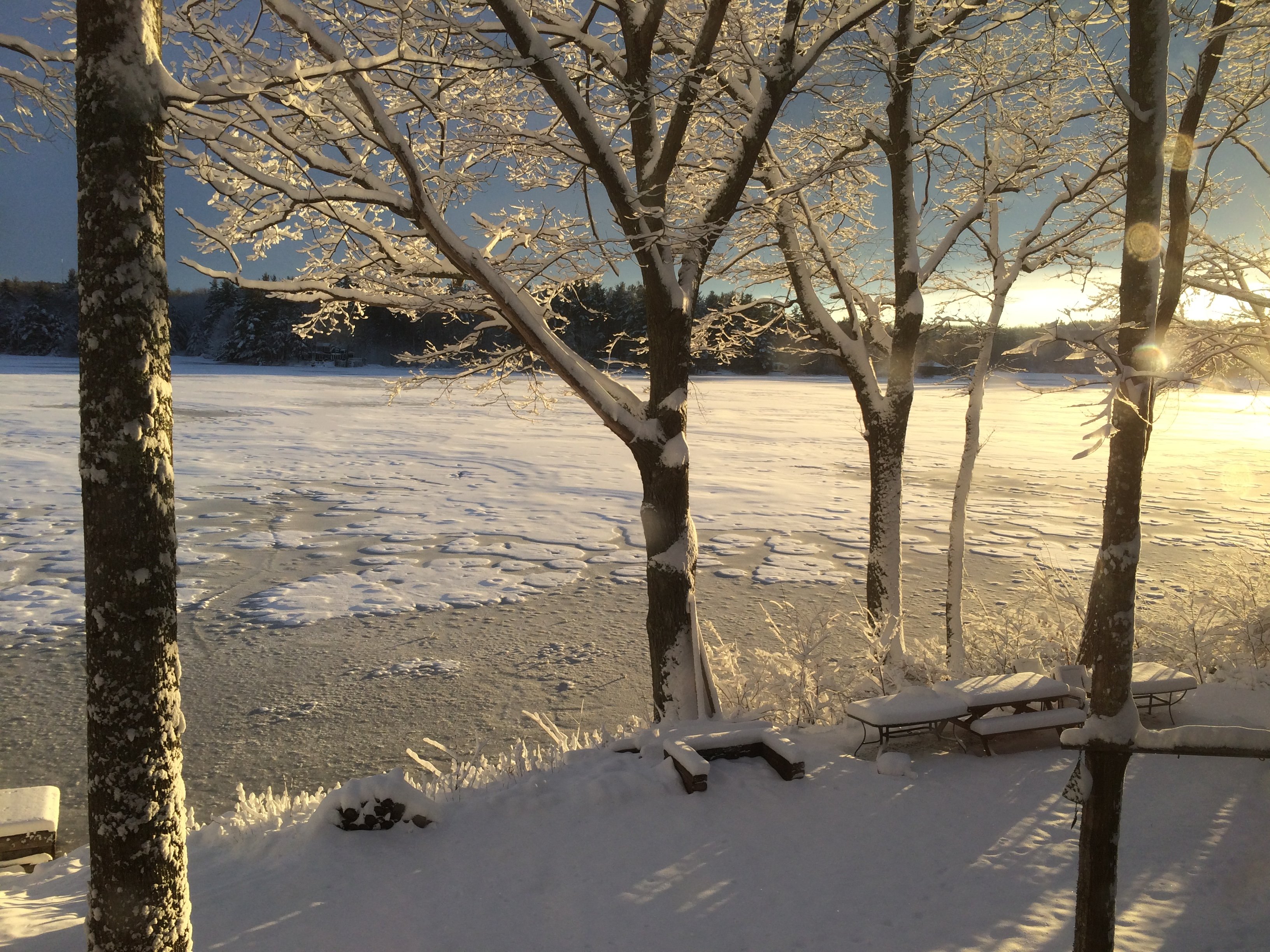 winter_3.jpg